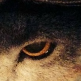 Иван Соловьев, 31.01, Москва