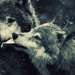 Rayana Noxhci, 17.05.2000, Oslo