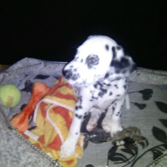 Алексей Мусинов, 05.08.1984, Ульяновск