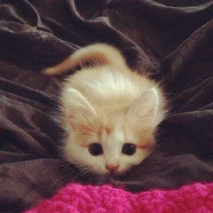 Бахтыгуль Тажиева, 05.02, Соль-Илецк