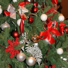 Жанара Айкенова, 31.03, Астана