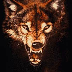 Юрий Чернецов, 01.01.2006, Москва