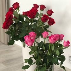 Ирина Леспухова, 20.09, Brno