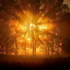 Михаил Прохоров, 23.05, Москва