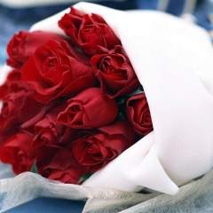 Dana Baimoldaeva, 15.09.1988, Алматы