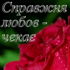 Омирослав-Михайло Сем'яник, 19.11.1976