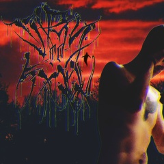 Дмитрий Владимирович, 11.05, Memphis