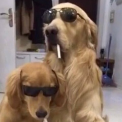 Денис Стрельчук, 12.10.1991