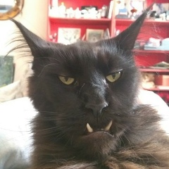 Руслан Громов, 18.05, Москва