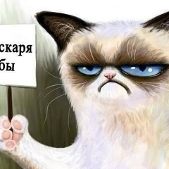 Aleksandr Motorin, 11.08.1987, Санкт-Петербург