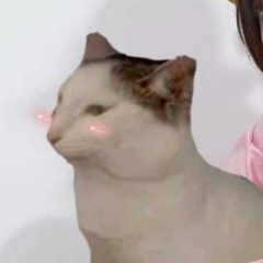 Леон Фирлээс, 01.04