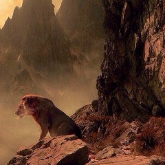 Emil Asgarov, 28.09.1984, Баку