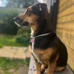 Юлия Цуканова, Москва