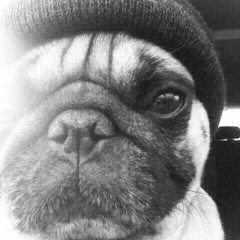 Евгений Николаев, 17.07, Москва