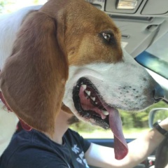 Вадим Вадим, 27.09.1985, Тверь