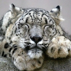 Тимур Хаджаев, 20.06.1986, Казань