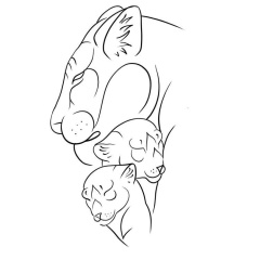 Ирма Владия, Санкт-Петербург