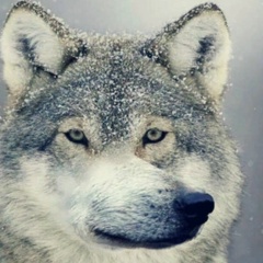 Dmitry Demenkov, 16.09, Минск