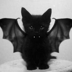 Denis Faten, 08.06.1980, Ростов-на-Дону