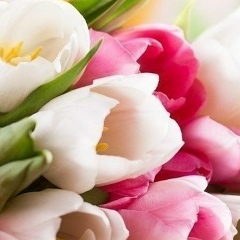 Юлия Чабанюк, 05.05.1986, Кривой Рог