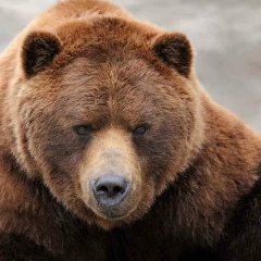 Андрей Тру, 12.09