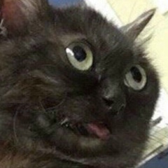 Санжар Колумбаев, 15.03, Алматы