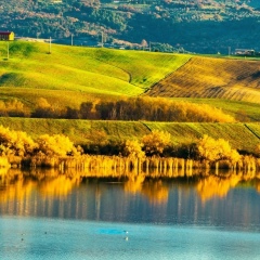 Ира Солдатова, 06.04, Санкт-Петербург