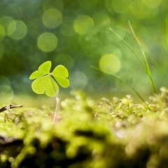 Алена Волковицкая, 01.05, Новосибирск