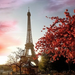 Салтанат Муратбекова, 23.11, Москва