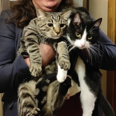 Дмитрий Смирнов, 09.12.1978, Санкт-Петербург