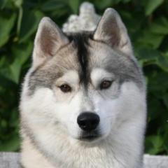 Татьяна Садченко, 21.01.1985, Санкт-Петербург