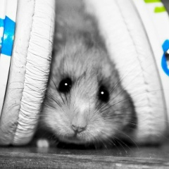 Серёга Багитжанов, 16.04.1985, Актау