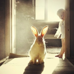 Денис Кочман, 22.12.1966, Казань