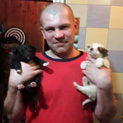 Артём Ясько, Кобрин