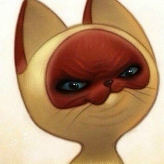 Юля Шапина, 19.01