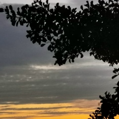 Romas Misevicius, 18.04.1990, Каунас