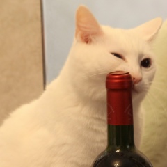 Елена П, Москва