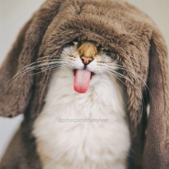 Юлия Власова