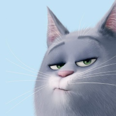 Alla Bastet Alla, 19.11, Нижний Новгород