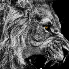 Олег Шадренков, 05.08, Нижнекамск