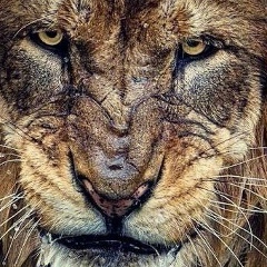 Евгений Шевченко, 29.07, Омск