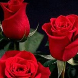 Асель Ешмухамбетова, 19.05.1985, Усть-Каменогорск