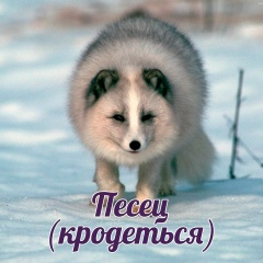 Михаил Липин, Санкт-Петербург