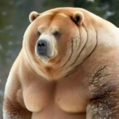 Владимир Щербаков, 21.04.1985, Фрязино