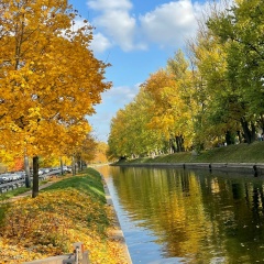 Давид Цоков, 05.09.1981, Санкт-Петербург