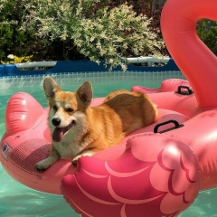 Наташа Хапаева, 11.01, Москва