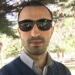Ilyas Safarli, 04.08, Шеки