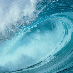 Дмитрий Мокрецов, 13.04.1978, Йошкар-Ола