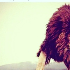 Муслим Гарунов, 14.07.1992, Хасавюрт