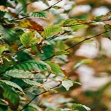 Павел Шнайдер, 18.02, Челябинск